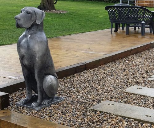 great danes a
