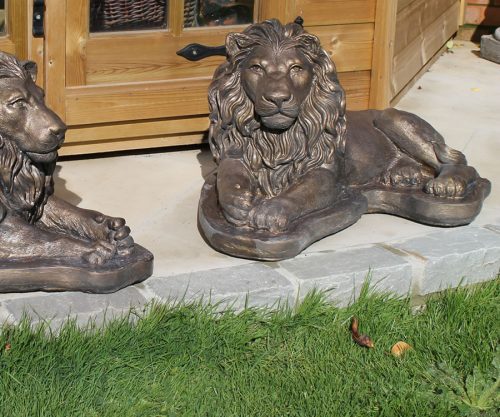 small laying lion a