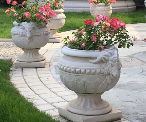 rams head urns