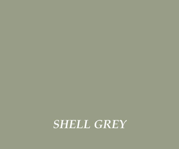 shell grey