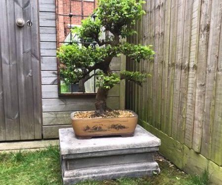 stepped plinth aged rotated e1652274695205